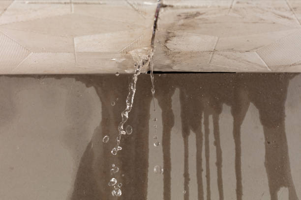 Professional Water Damage Inspection technician working in Ravenna, TX